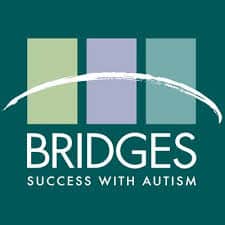 Bridges